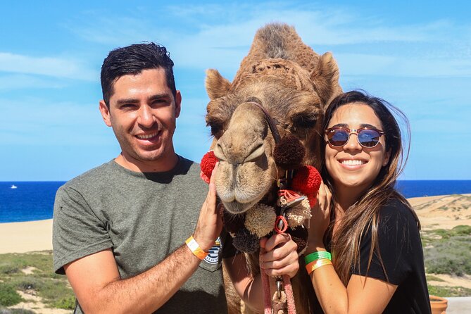 Cabo Camel Ride Experience - El Migriño Beach From a Camel’s-Eye View