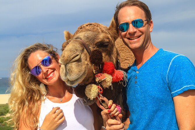 Cabo Camel Ride Experience - Before You Mount: Training, Intro Games, and Camel Feeding