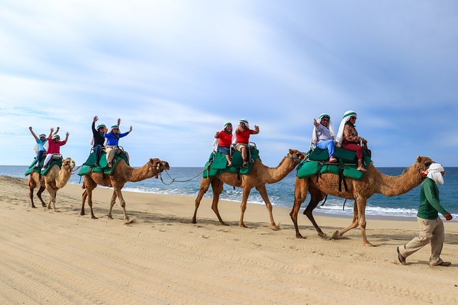 Cabo Camel Ride Experience - The Camel Ride: What the 2 Hours Really Feels Like