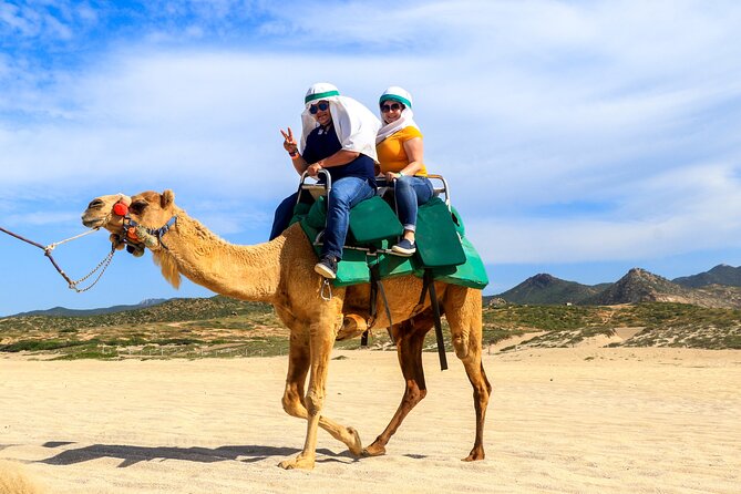 Cabo Camel Ride Experience - Price, the $25 Park Fee, and How to Decide if It’s Worth It