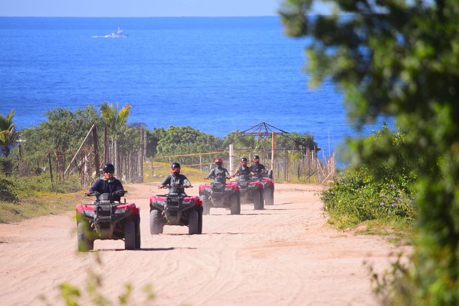 Cabo Candelaria Village Adventure + Tequila Tasting - Key points before you go