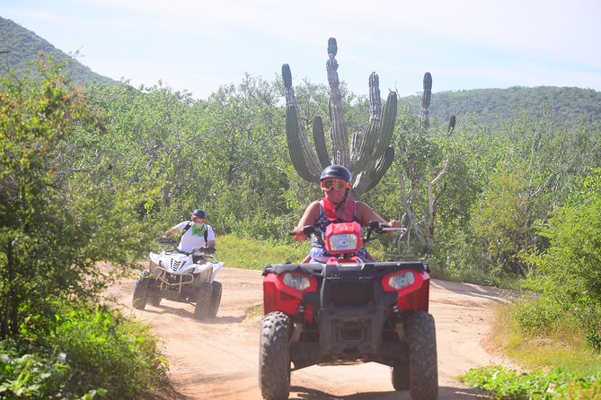 Cabo Candelaria Village Adventure + Tequila Tasting - Safety equipment, insurance options, and smart decisions