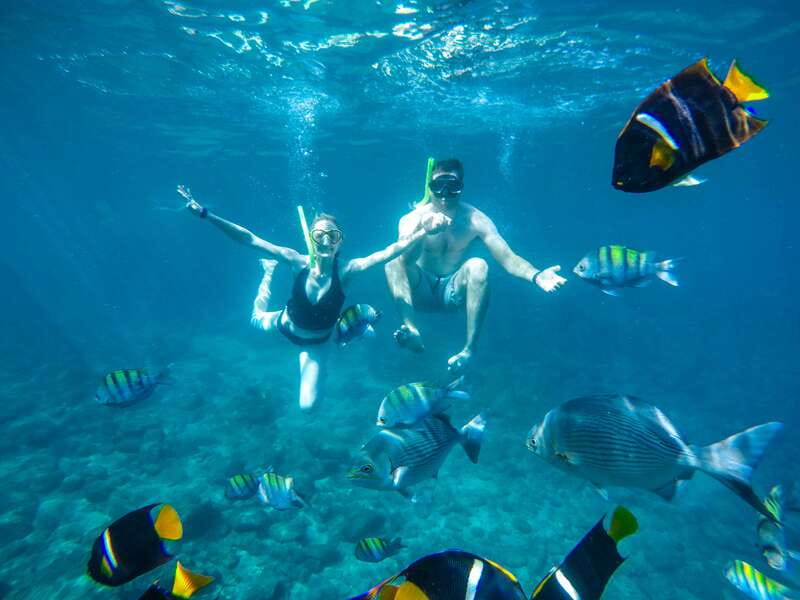 Cabo Catamaran Snorkel: Arch & Santa Maria, Open Bar, Snacks - Santa Maria Bay Snorkel Hour: What You’ll Actually See
