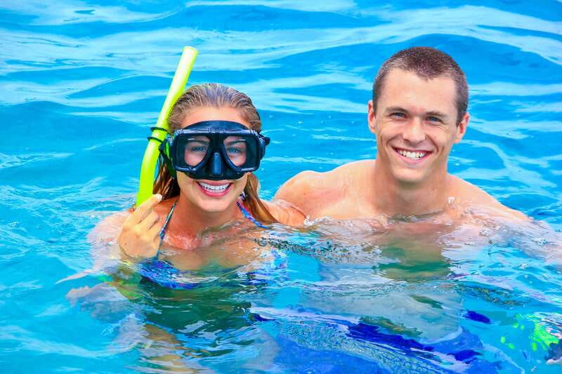 Cabo Catamaran Snorkel: Arch & Santa Maria, Open Bar, Snacks - Wildlife Odds in the Sea of Cortez (Whales, Dolphins, Sea Lions)