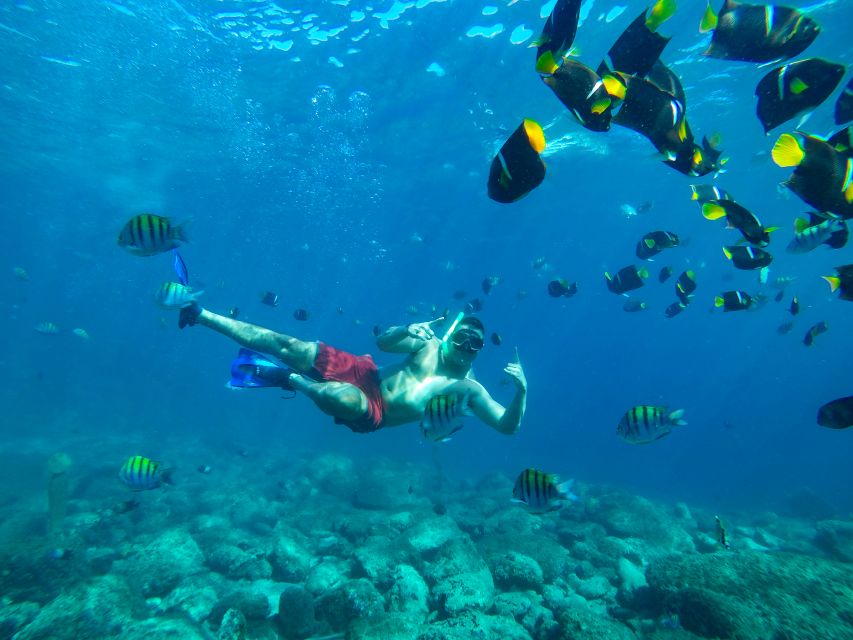 Cabo Catamaran Snorkel: Arch & Santa Maria, Open Bar, Snacks - Price, Value, and Who This Tour Fits Best For
