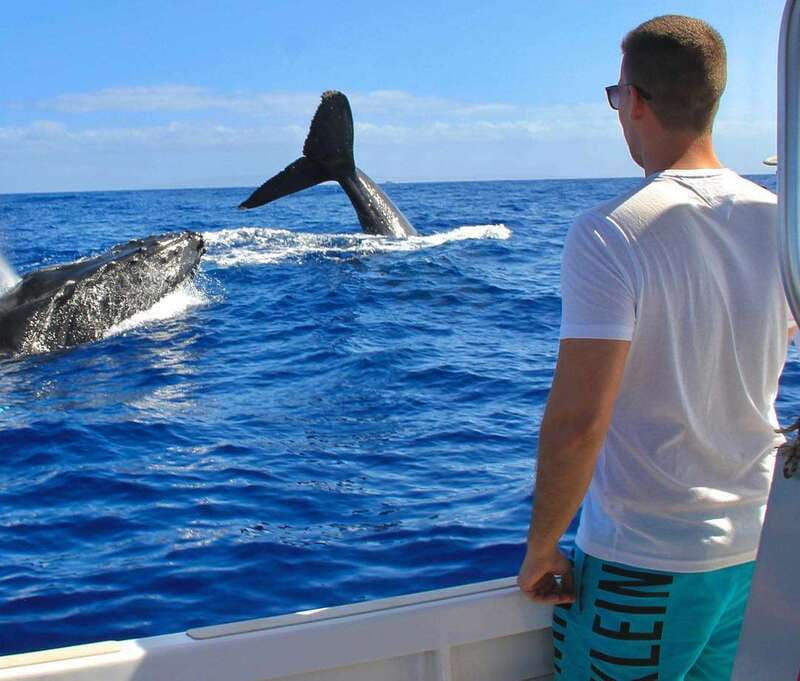 Cabo Catamaran Snorkel: Arch & Santa Maria, Open Bar, Snacks - Book It or Skip It: My Practical Recommendation