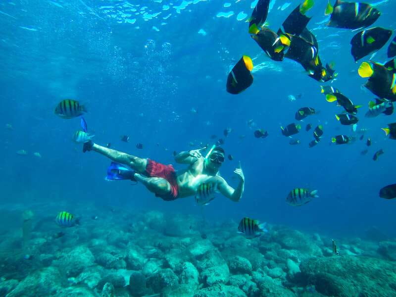 Cabo Catamaran Snorkel: Arch & Santa Maria, Open Bar, Snacks - FAQ