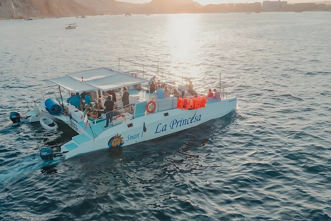 Cabo Catamaran – Snorkeling Tour & Coastal Views - Key takeaways before you book