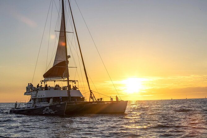 Cabo Cruise Sunset Adventure: Tacos, Margaritas & Sea Lions - Key highlights you’ll actually care about