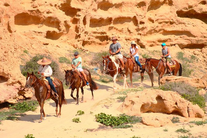 Cabo Desert ATV & Beach Horseback Combo enjoy adventure and beauty! - Two Hours of Desert Dirt and Ocean Air