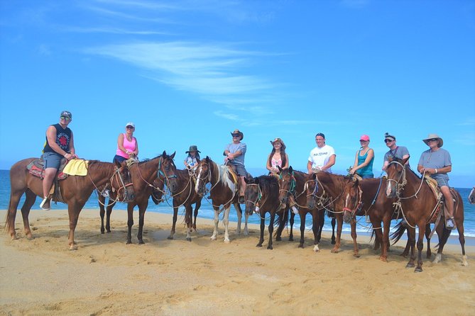 Cabo Desert ATV & Beach Horseback Combo enjoy adventure and beauty! - Horseback on Migriño Beach: Sand, Cliffs, and a Calmer Pace