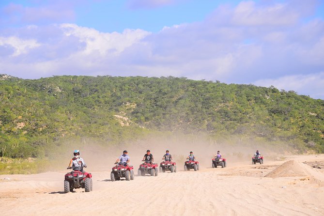 Cabo Desert Off-Road & Beach Horseback Combo and Tequila Tasting - Key points to know before you go