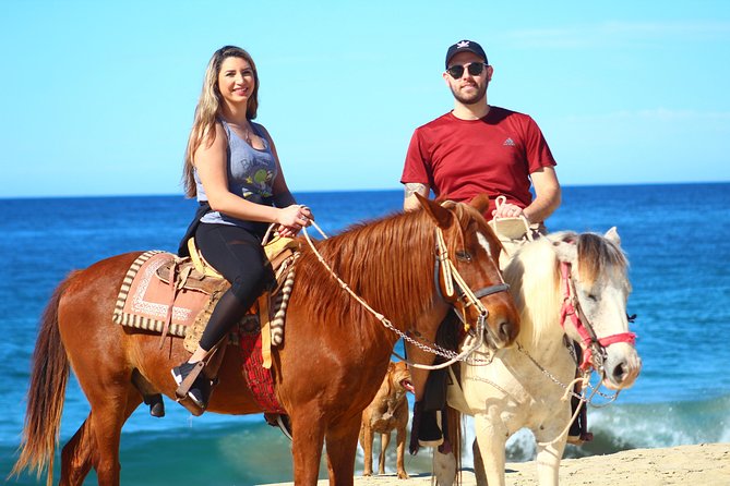 Cabo Desert Off-Road & Beach Horseback Combo and Tequila Tasting - ATV riding in the Cabo desert, fast when you want it