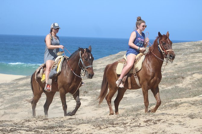 Cabo Desert Off-Road & Beach Horseback Combo and Tequila Tasting - Price and logistics, where the surprise costs show up