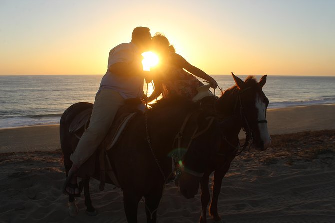 Cabo Desert Off-Road & Beach Horseback Combo and Tequila Tasting - Equipment, comfort, and what to expect physically
