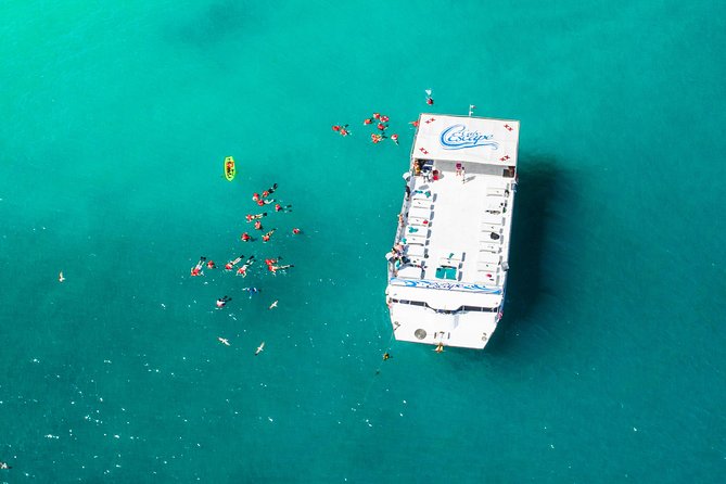 Cabo Escape Breakfast Snorkel Cruise - Cabo Escape Breakfast Snorkel Cruise, The Simple Pitch