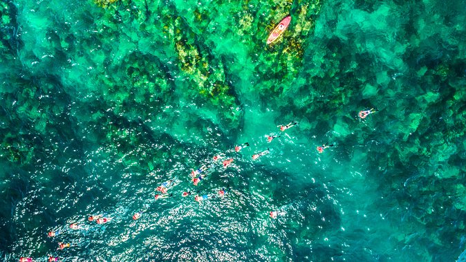Cabo Escape Breakfast Snorkel Cruise - Family-Friendly by Design, Not Just in Marketing