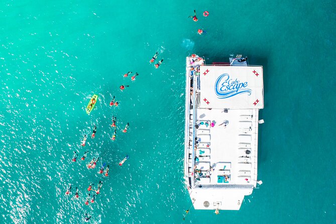 Cabo Escape Snorkel Fun Cruise - Playa el Chileno snorkeling: what you get from a single key stop