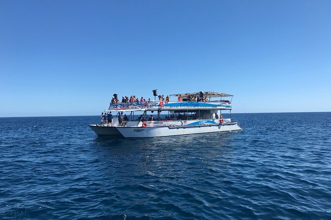 Cabo Escape Snorkel Fun Cruise - Price and true costs: $99 plus the $5 dock and protected areas fee