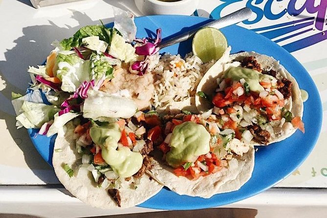 Cabo Escape Snorkel Fun Cruise - Tips for smoother boarding and a better snorkeling moment