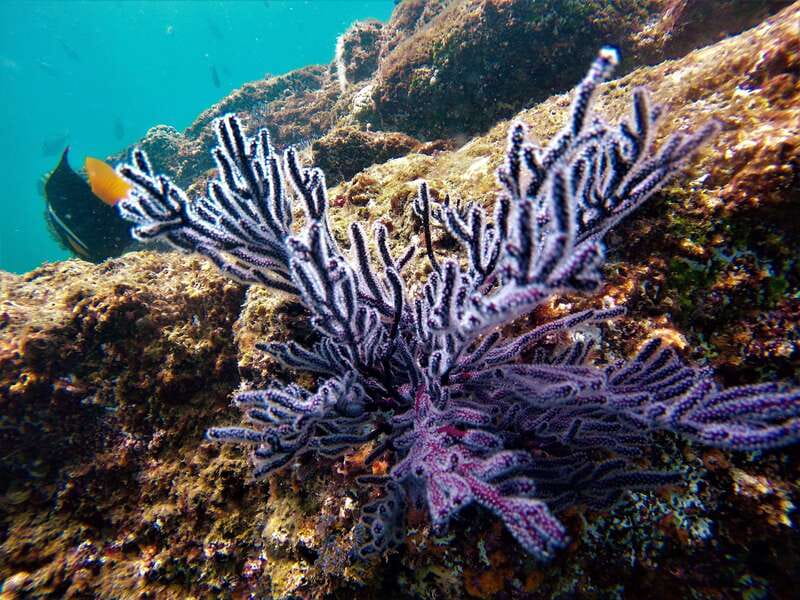 Cabo: Hidden Beach Day with Snorkeling in the Sea of Cortez - Who this fits best (and who might want a different plan)