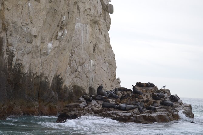 Cabo Highlights - Marina Cabo San Lucas: tequila tasting plus actual free time
