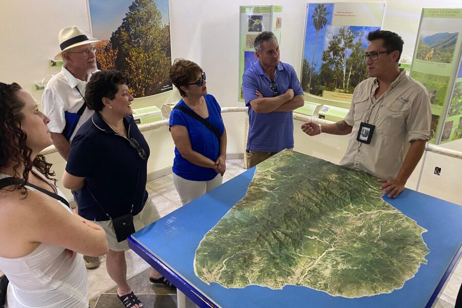 Cabo History Walk - Tequila tasting: included, but you stay in control