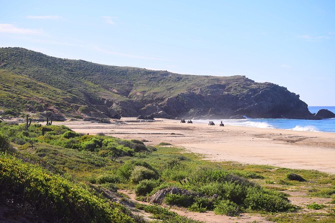 Cabo Migrino Beach & Desert Tour (Quad UTV) - Safety gear and off-road controls that keep the experience fun