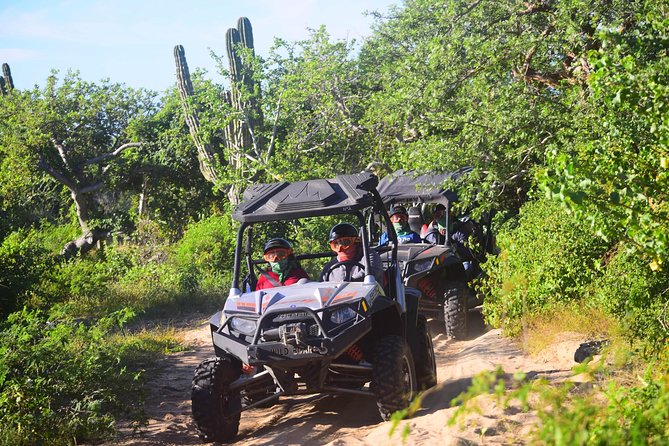 Cabo Migrino Beach & Desert Tour (Triple UTV) - Who this tour is best for, and who should think twice
