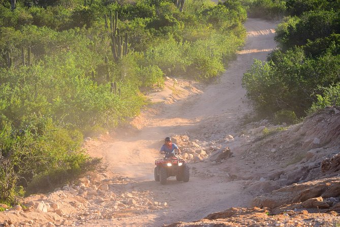 Cabo Original Real Baja 1000 Tour (Single ATV) - The route: mountains, desert trails, Candelaria, and beach time