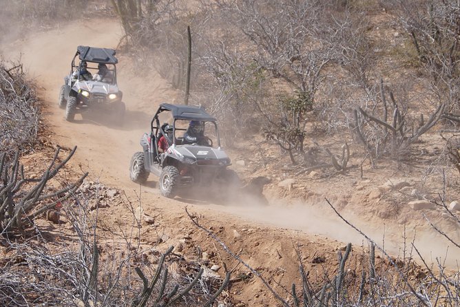 Cabo Original Real Baja 1000 Tour (Triple UTV) - What happens during the tour, plus the food and tequila moments