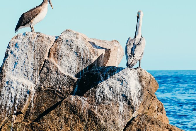 Cabo Private Catamaran: Chill Experience with Sup and Float Mat - Snacks, coolers, and what is included versus what you buy