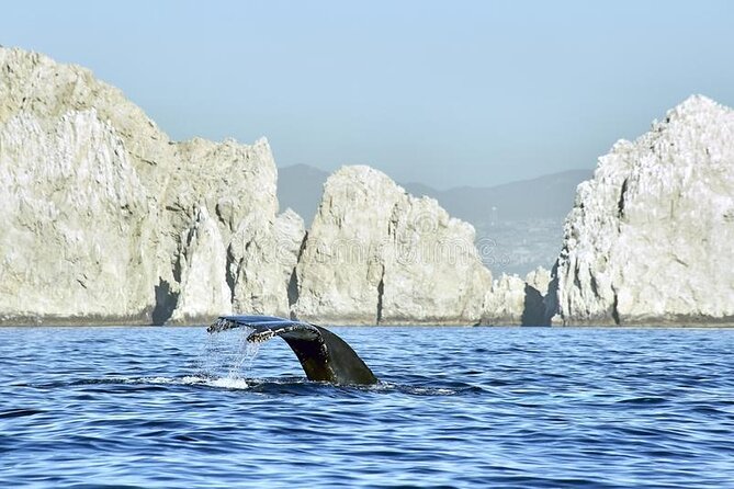 Cabo Private Transportation to Cabo - Why This Cabo Airport Transfer Feels Like a Real Arrival