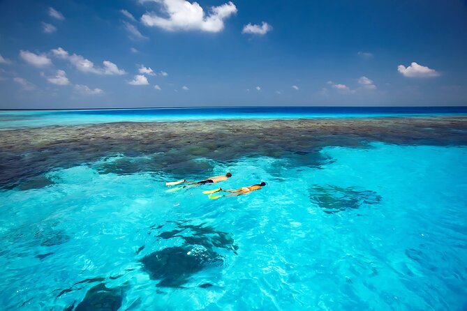 Cabo Private Yacht Cruise to El Arco with Snorkeling Adventure - Private Yacht Value: Price, Group Size, and the Real Cost Picture