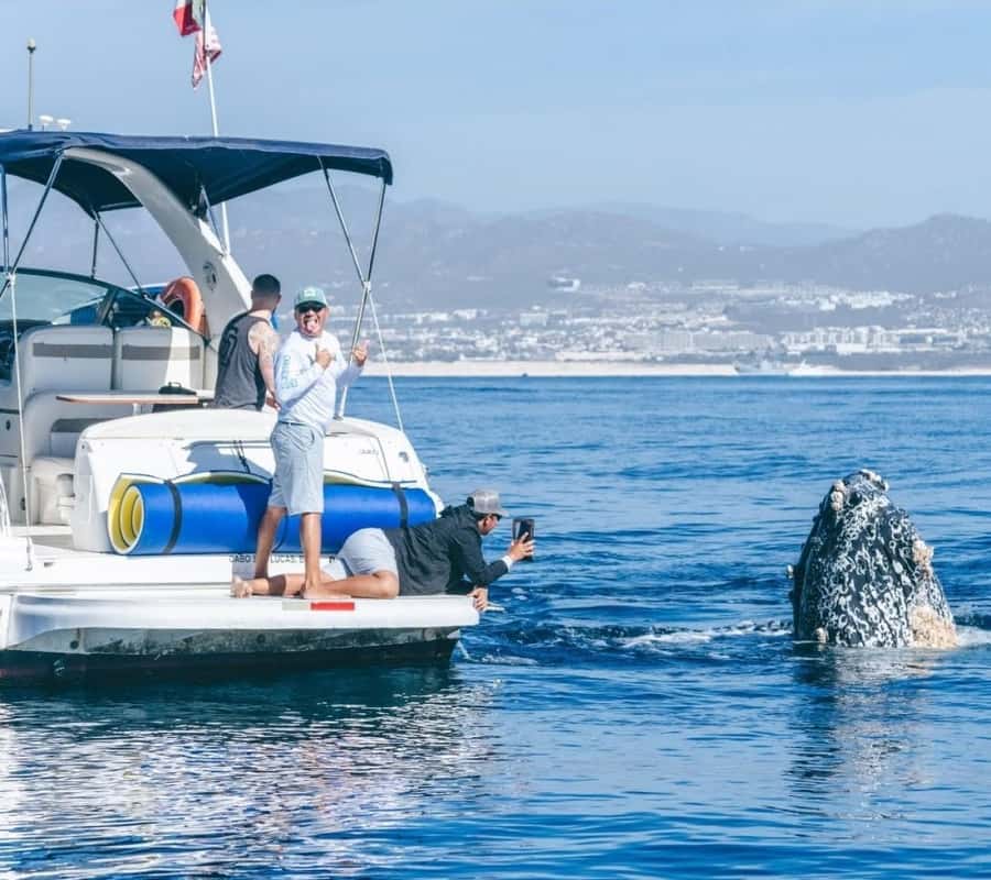 Cabo: Private Yacht Tour, Water Activities, Lunch & Drinks - Music, celebrations, and special touches with the crew