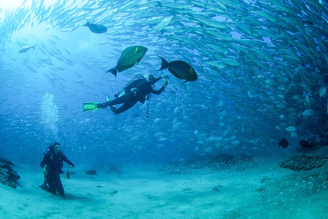 Cabo Pulmo 2 Tank Certified Dive with Lunch - Getting there: early pickup and a 2-hour ride each way