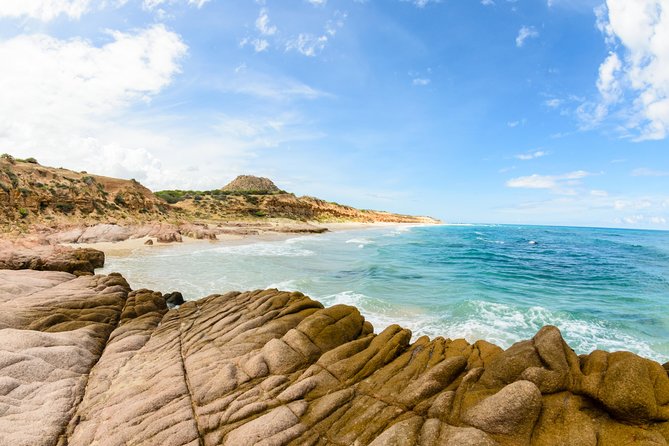 Cabo Pulmo National Park Snorkel Expedition from Cabo San Lucas - What you might see: turtles, sea lions, reefs, and fish schools