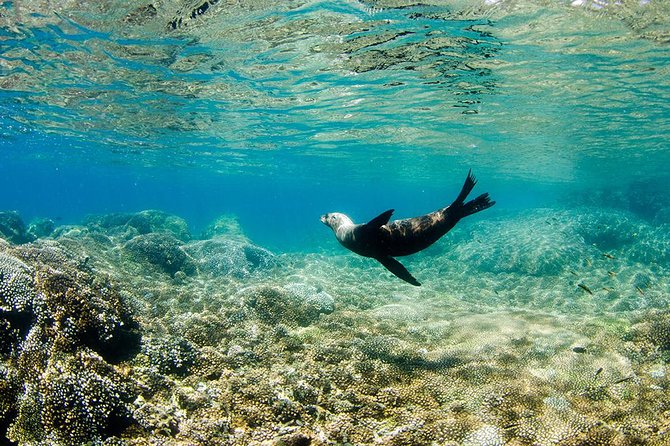 Cabo Pulmo National Park Snorkel Expedition from Cabo San Lucas - Lunch in Pulmo: a needed reset between snorkels