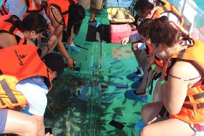 Cabo's Original Clear Boat Tour: See the Arch and Land's End - Price and What $39.20 Buys You (Plus the Real Value Test)