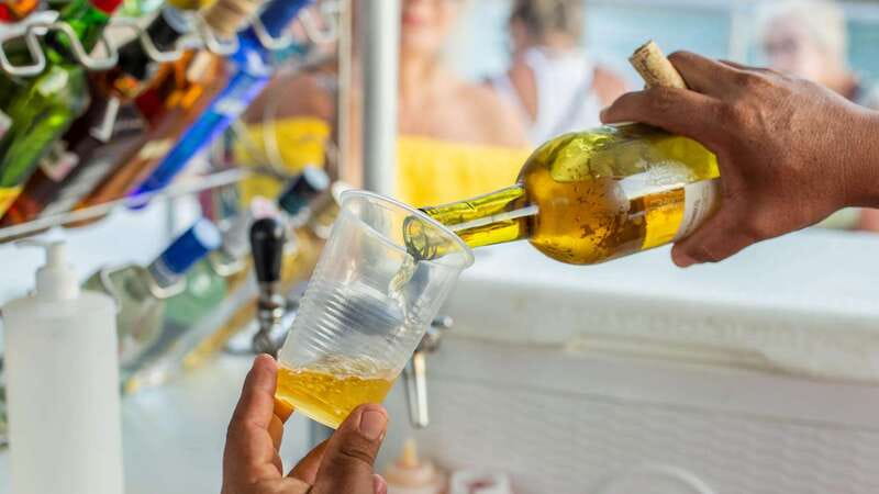 Cabo San Lucas: 2 Hour Sunset Cruise with Food and Wine - Getting to the port without hassle: pickup and drop-off in the key zones