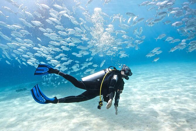 Cabo San Lucas 2 Tank Scuba Diving - First Underwater Segment: Cabo’s Drop-Off Magic