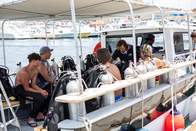 Cabo San Lucas 2 Tank Scuba Diving - Price and Value: What $150.54 Really Buys