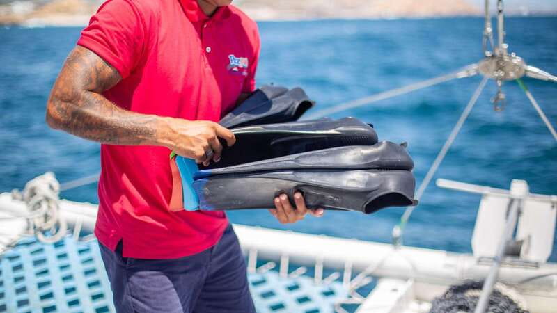 Cabo San Lucas: 4-Hour Snorkeling Cruise with Open Bar - Value check: is $128 per person worth it?