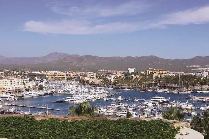 Cabo San Lucas and San Jose del Cabo Sightseeing Tour - Price and Value: Is $95 a Good Deal for This Style of Day?