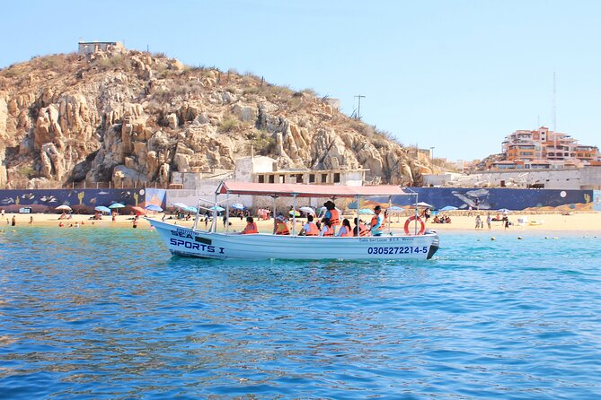 Cabo San Lucas Arc Group Tour in Glass Bottom Boat - The Glass-Bottom Part: What You’ll Actually See
