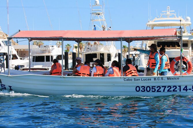 Cabo San Lucas Arc Group Tour in Glass Bottom Boat - Guides and Captains: The People Factor in Cabo