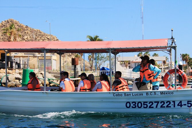 Cabo San Lucas Arc Group Tour in Glass Bottom Boat - Value Check: What $20.86 Gets You