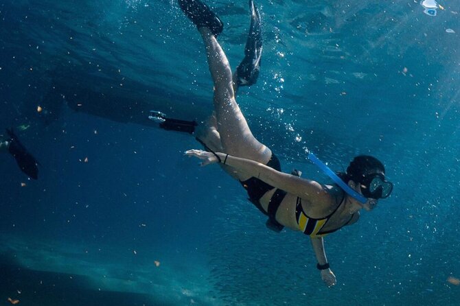 Cabo San Lucas Arch Boat Tour and Snorkeling at Pelican Rock - What Makes This Tour Feel Worth the Money