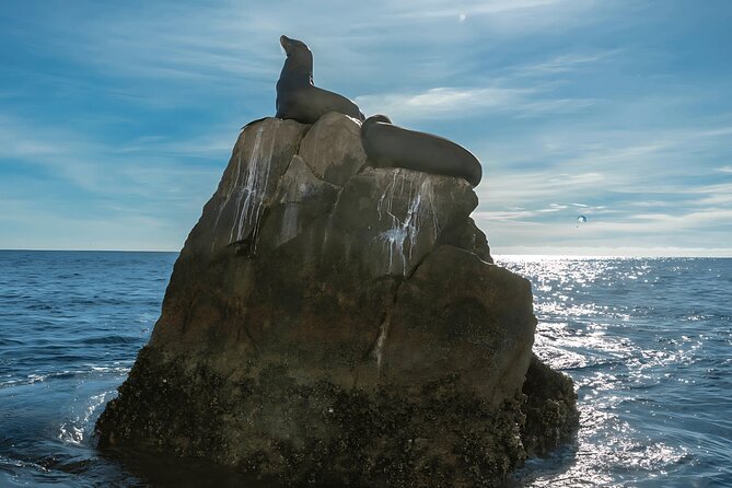 Cabo San Lucas Arch & City Tour: Glass-Bottom Boat & Tequila - Medano Beach Optional Time: When the Sea Says Yes