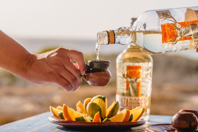 Cabo San Lucas Arch Cruise and Shopping Tour - Tequila tasting and quesadillas at the marina: a satisfying finish
